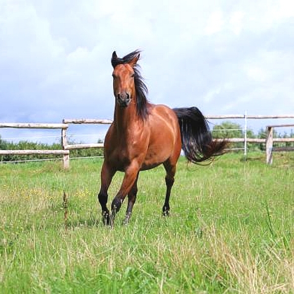 Meet Your Posher, Grace R 🌺 - Picture 6 of 8